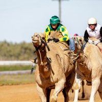 BOULIA CAMEL RACES - 17.07.2022 - Matt Williams - LOW RES-1052