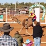 1 061_web_800