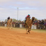 Boulia Camel Races in Action. Image Jan Norton