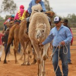 Boulia Camel Races. Getting Ready to Race
