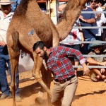 Camel Tagging