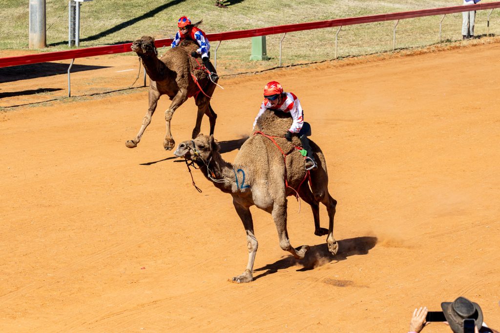 BOULIA CAMEL RACES 2023 - SATURDAY 15.07.2023 - Matt Williams - WEB RES-1161
