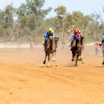BOULIA CAMEL RACES 2023 - SATURDAY 15.07.2023 - Matt Williams - WEB RES-1194