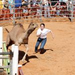 BOULIA CAMEL RACES 2023 - SATURDAY 15.07.2023 - Matt Williams - WEB RES-1337