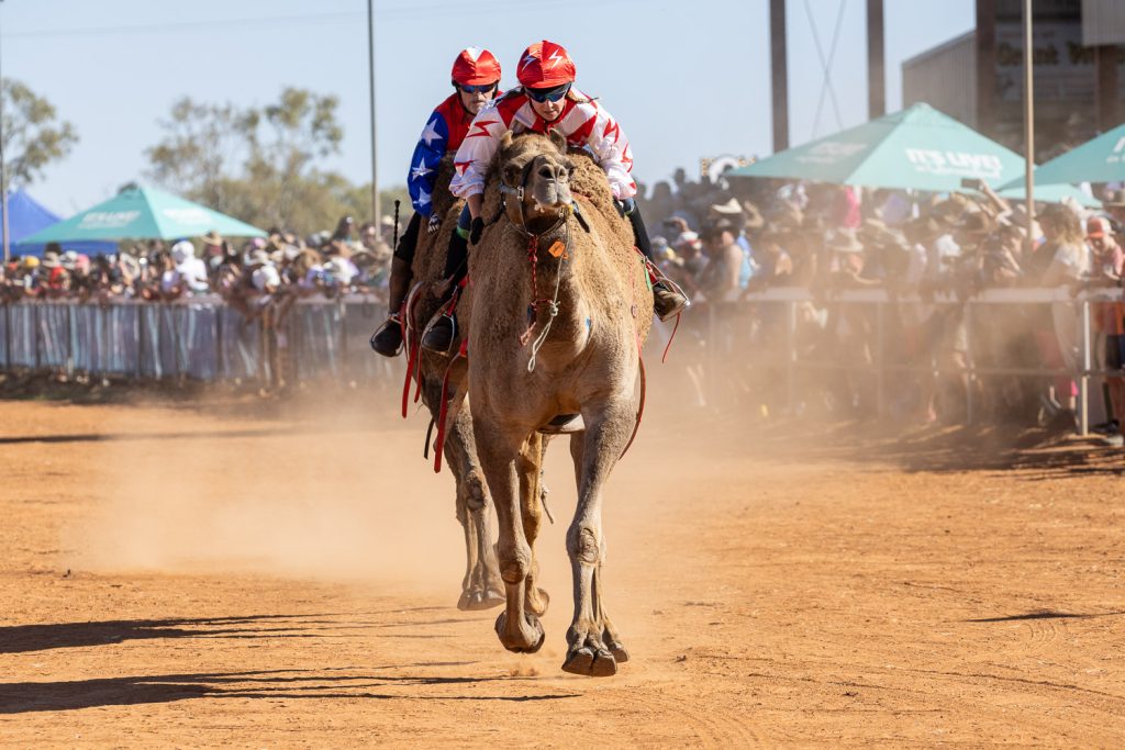 BOULIA CAMEL RACES 2023 - SATURDAY 15.07.2023 - Matt Williams - WEB RES-1400