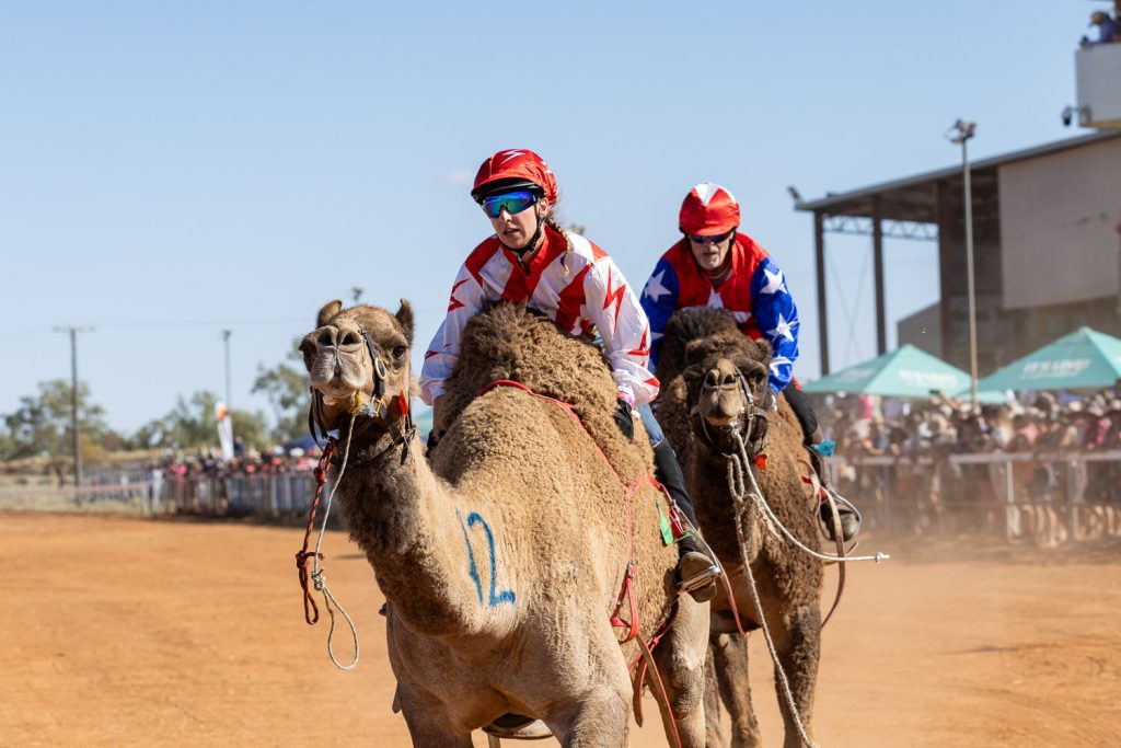 BOULIA CAMEL RACES 2023 - SATURDAY 15.07.2023 - Matt Williams - WEB RES-1403