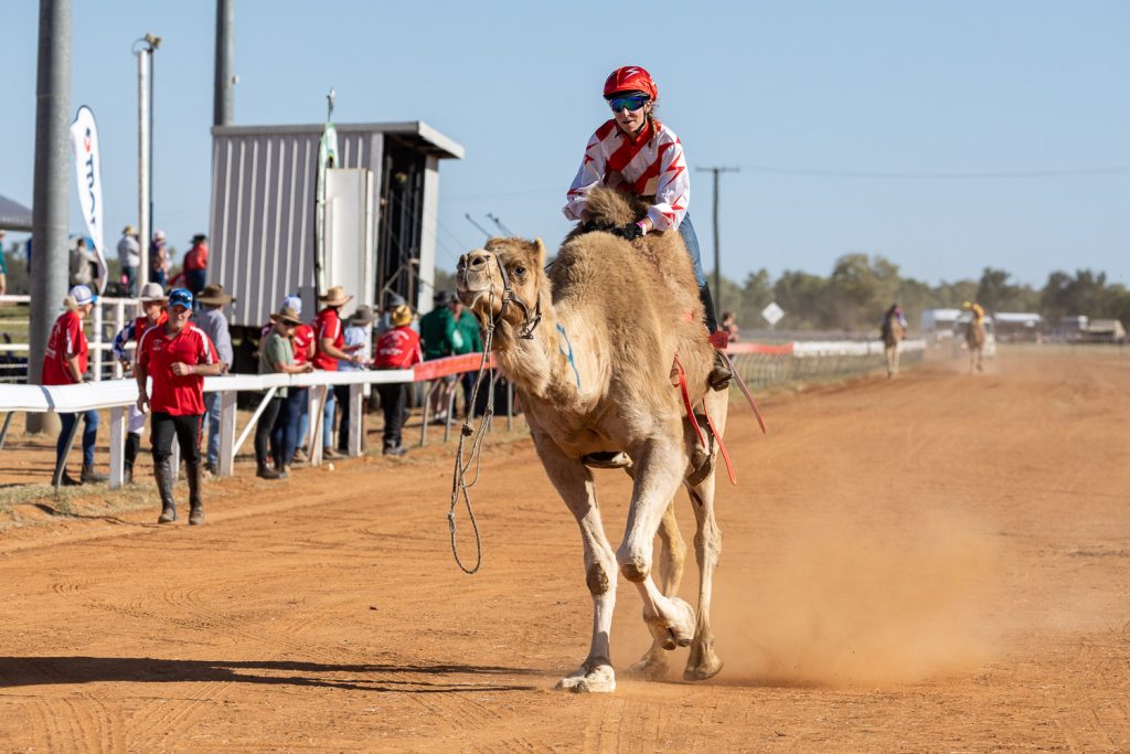 BOULIA CAMEL RACES 2023 - SATURDAY 15.07.2023 - Matt Williams - WEB RES-1425