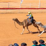 BOULIA CAMEL RACES 2023 - SUNDAY 16.07.2023 - Matt Williams - WEB RES-1079