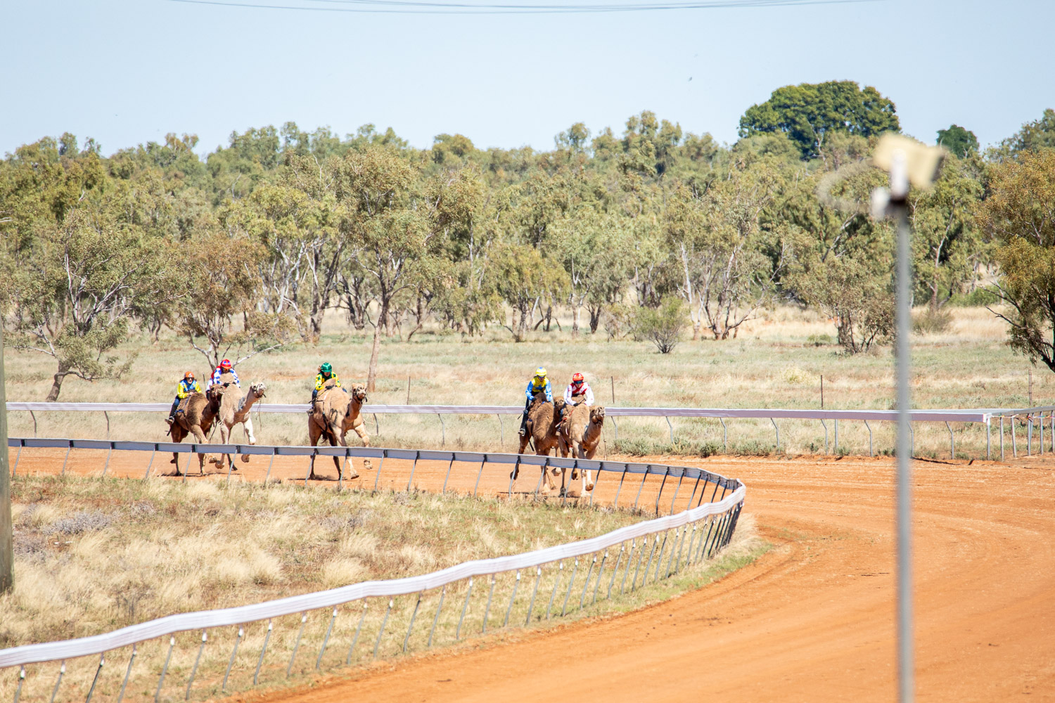 BOULIA CAMEL RACES 2023 SUNDAY 16.07.2023 Matt Williams WEB RES