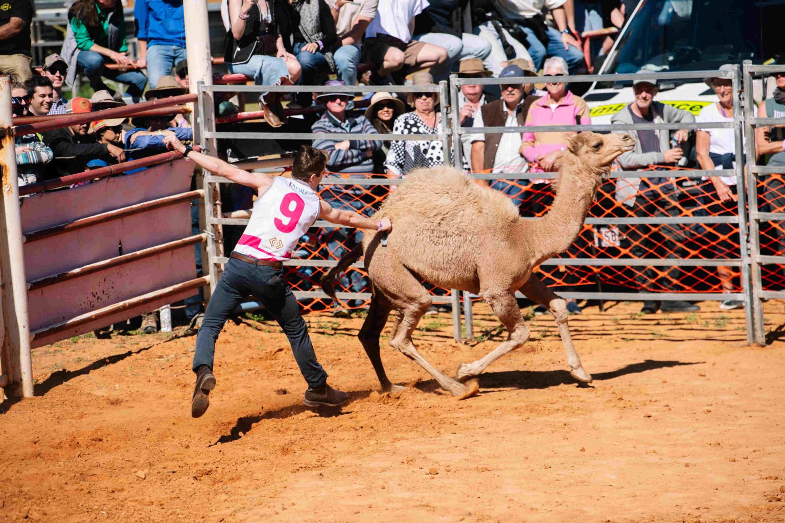 Program - Boulia Camel Races