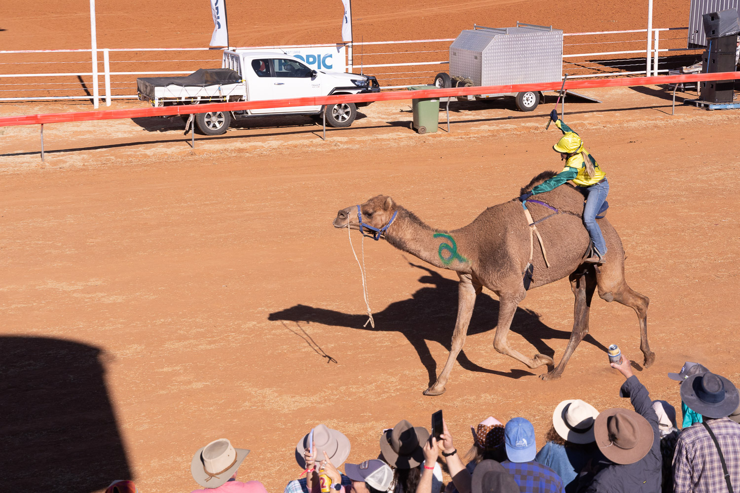BOULIA CAMEL RACES 2025 - SATURDAY 19.07.2025 - Matt Williams - WEB RES-1350
