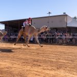 BOULIA CAMEL RACES 2025 - SATURDAY 19.07.2025 - Matt Williams - WEB RES-1367