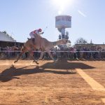 BOULIA CAMEL RACES 2025 - SATURDAY 19.07.2025 - Matt Williams - WEB RES-1370